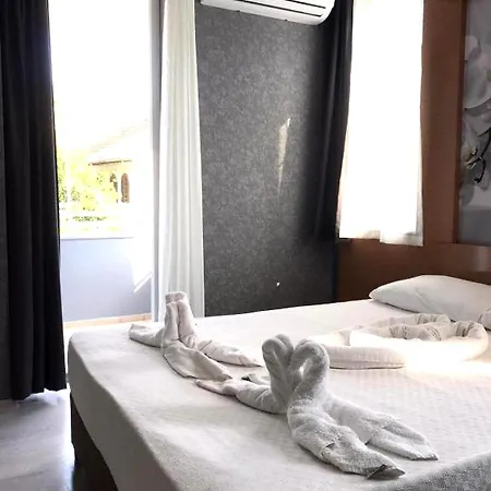 Anita Noch 4*